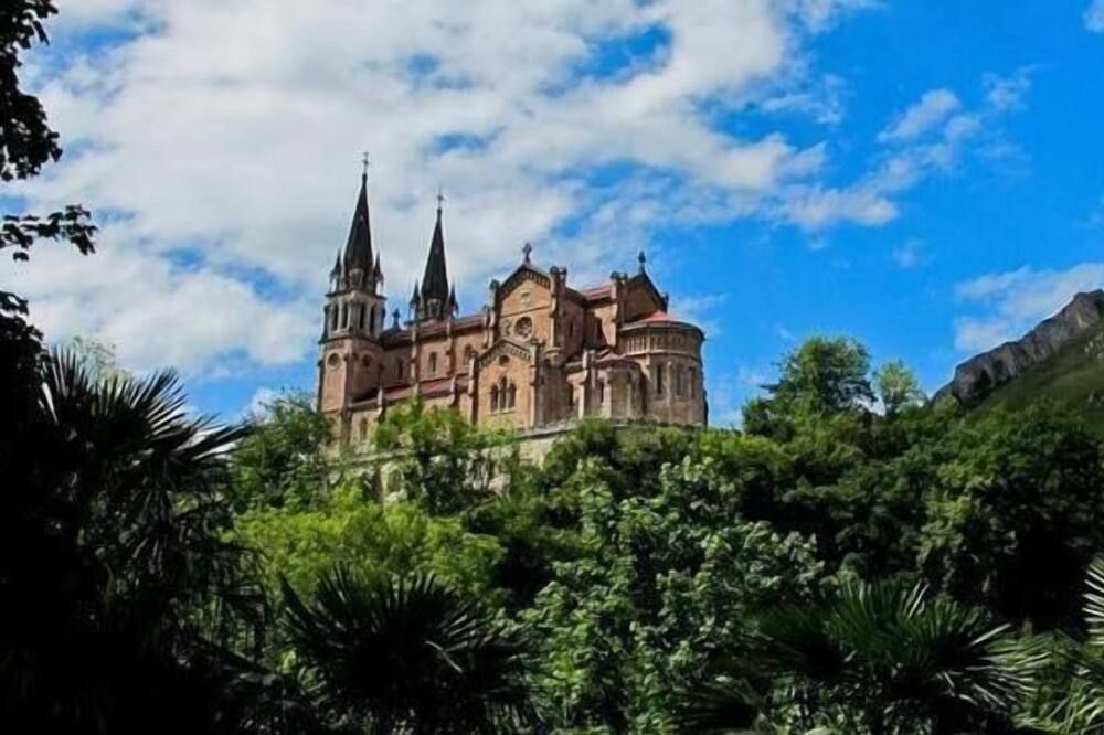 المظهر الخارجي