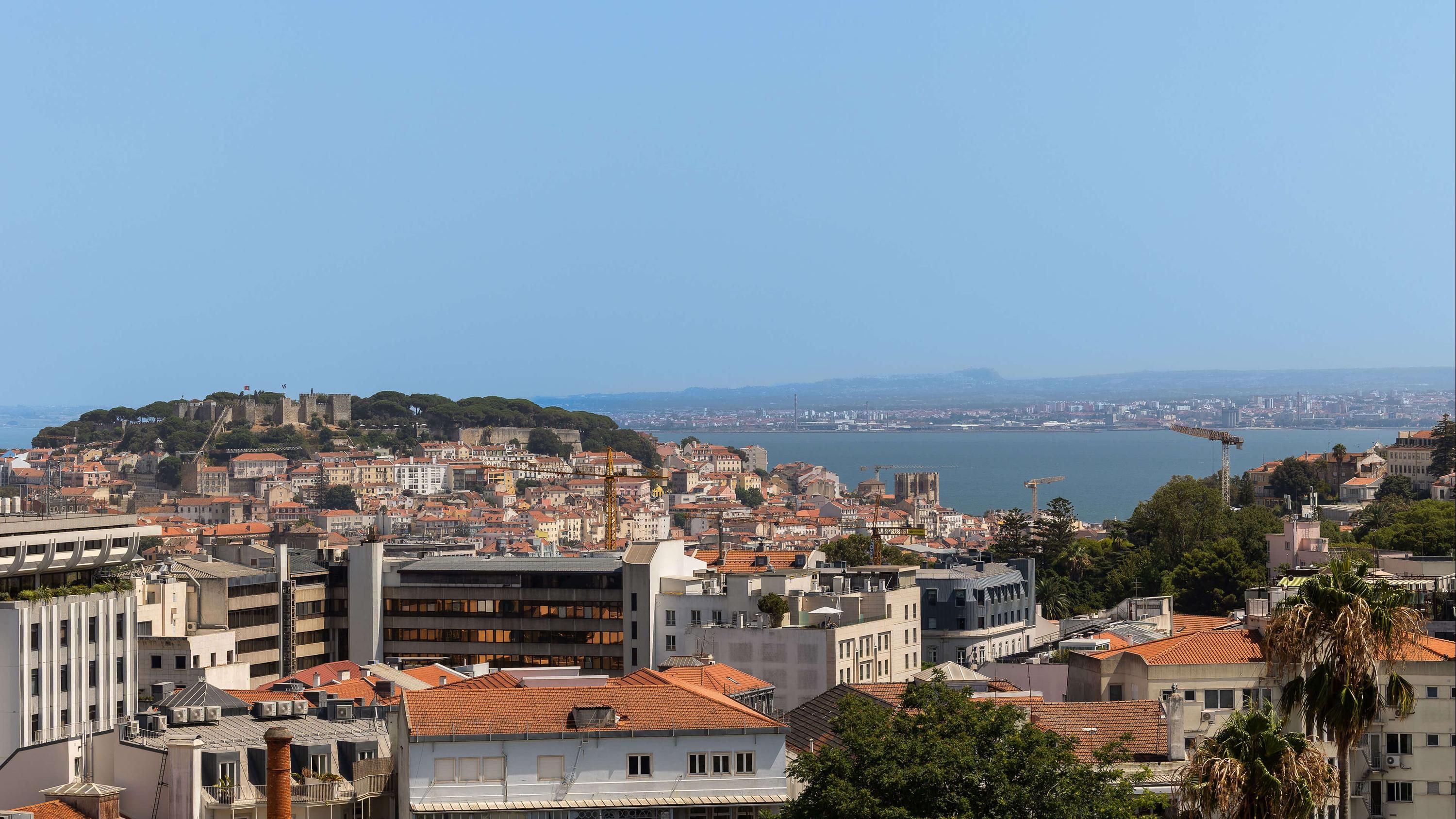 المظهر الخارجي