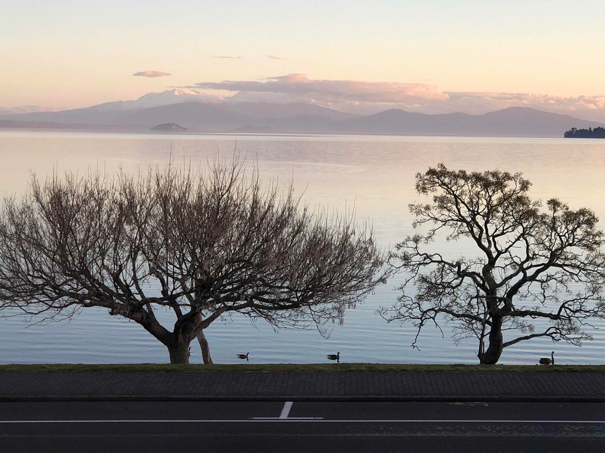 المظهر الخارجي