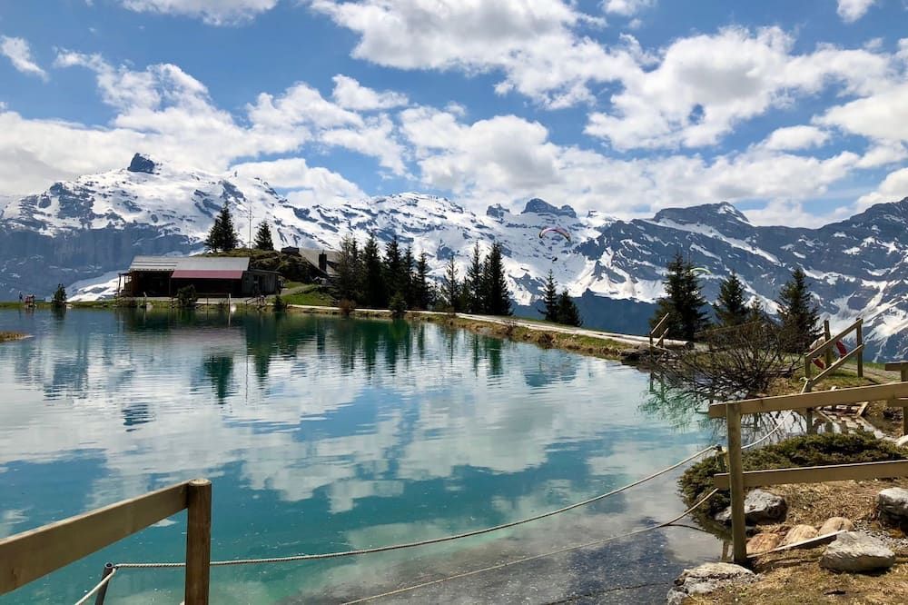 المظهر الخارجي