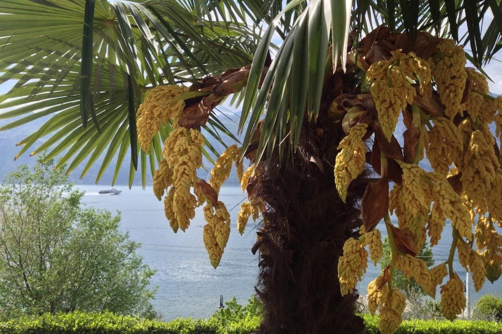 المظهر الخارجي