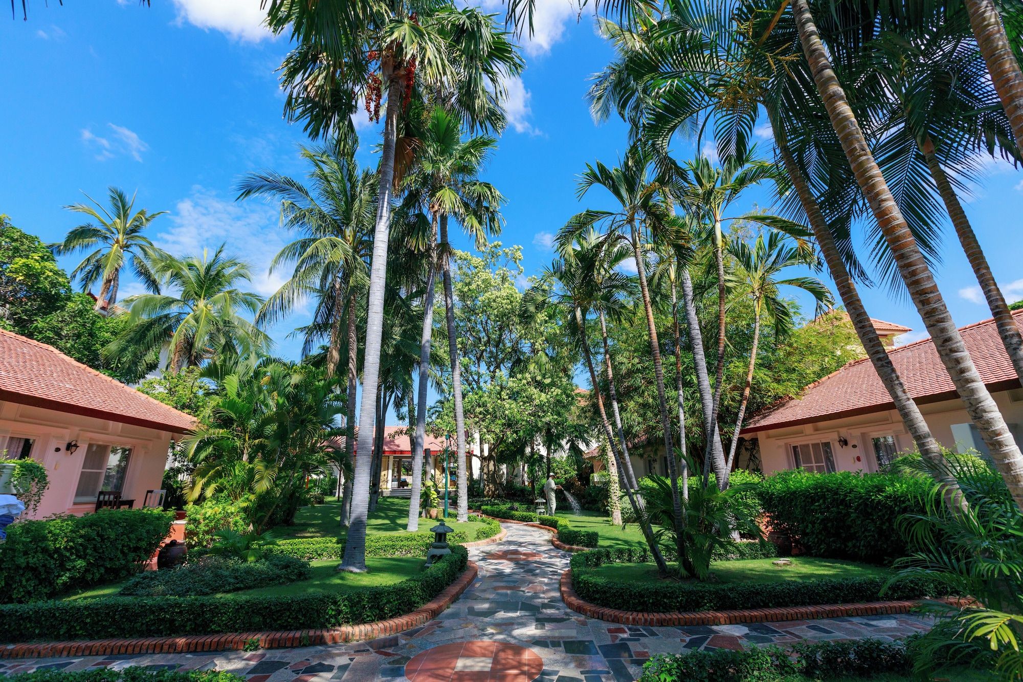 المظهر الخارجي