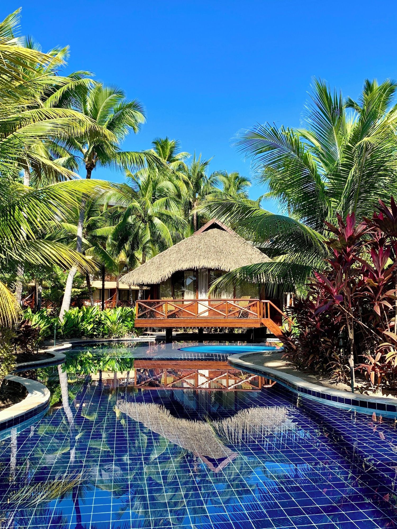 حوض السباحة صورة