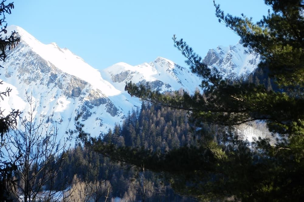 المظهر الخارجي