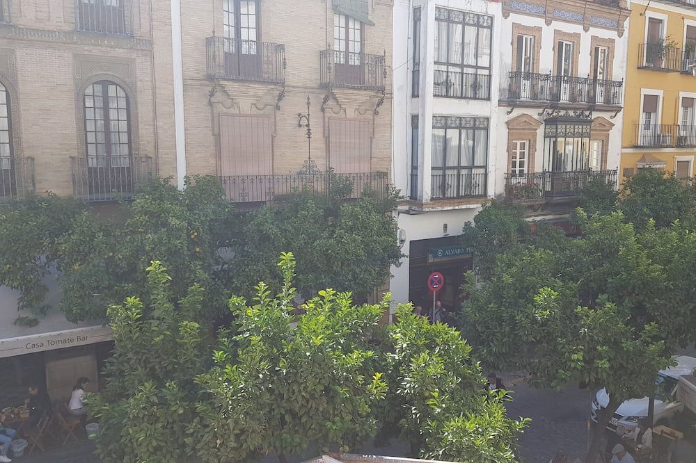 المظهر الخارجي