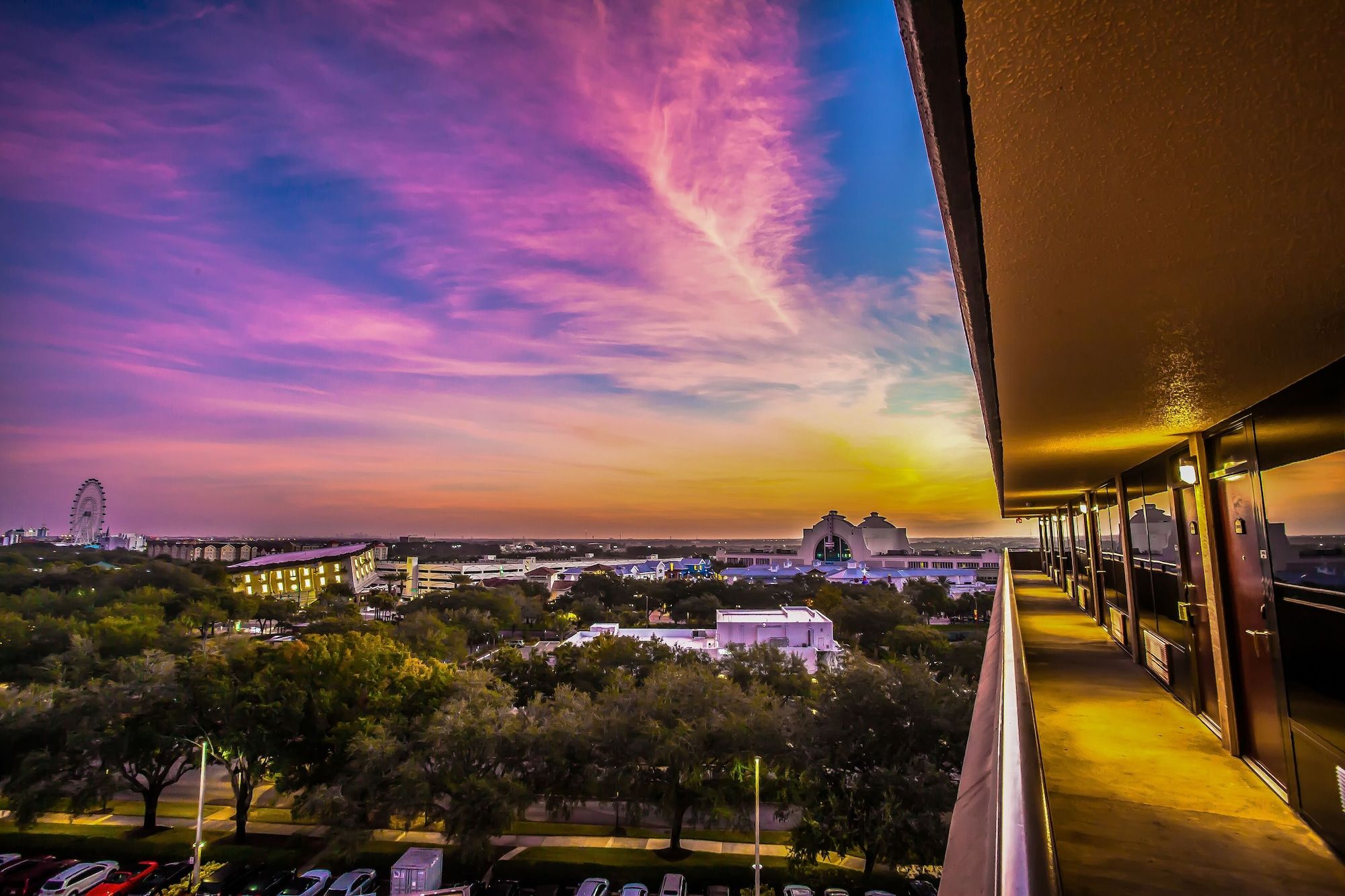 المظهر الخارجي