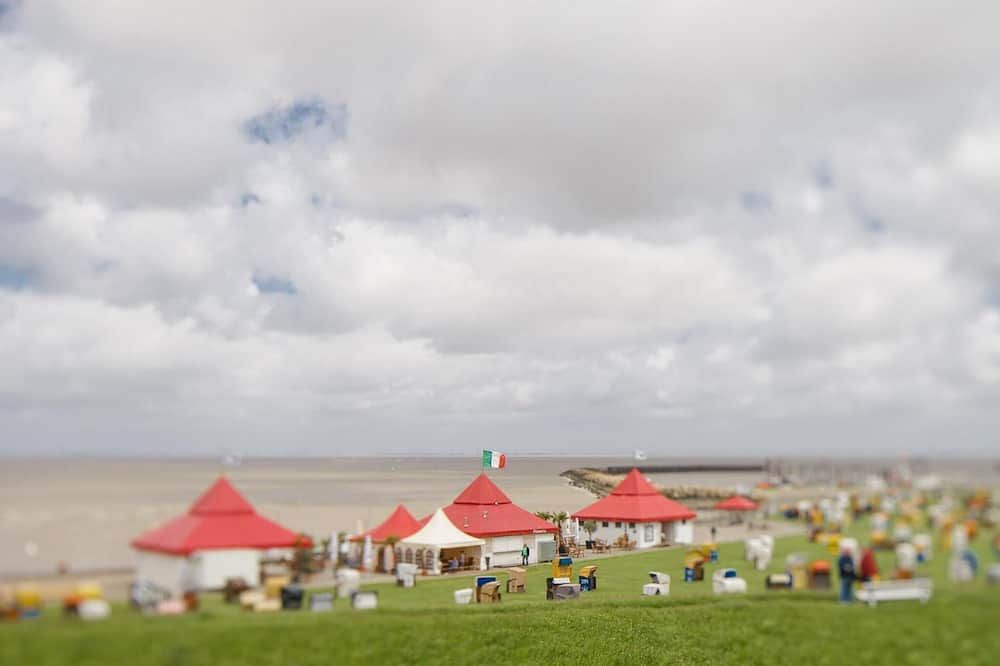 المظهر الخارجي