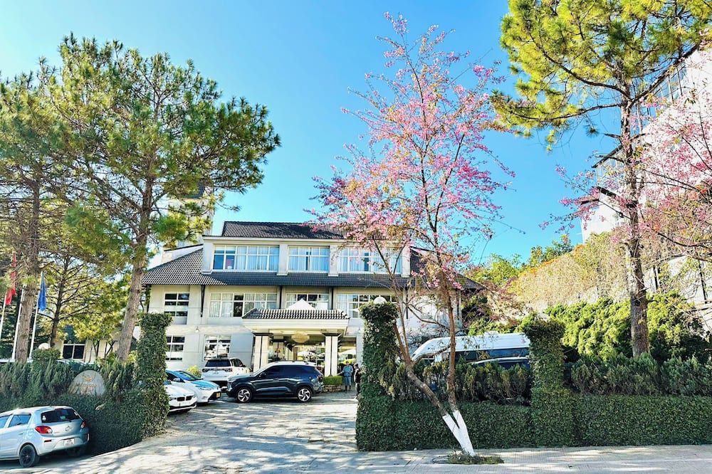 المظهر الخارجي