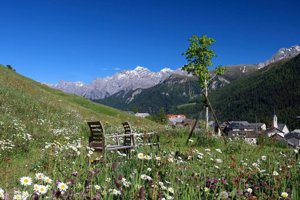 المظهر الخارجي