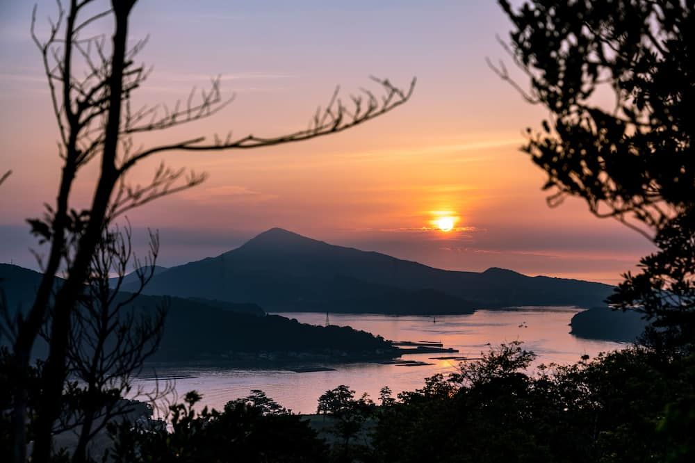 المظهر الخارجي