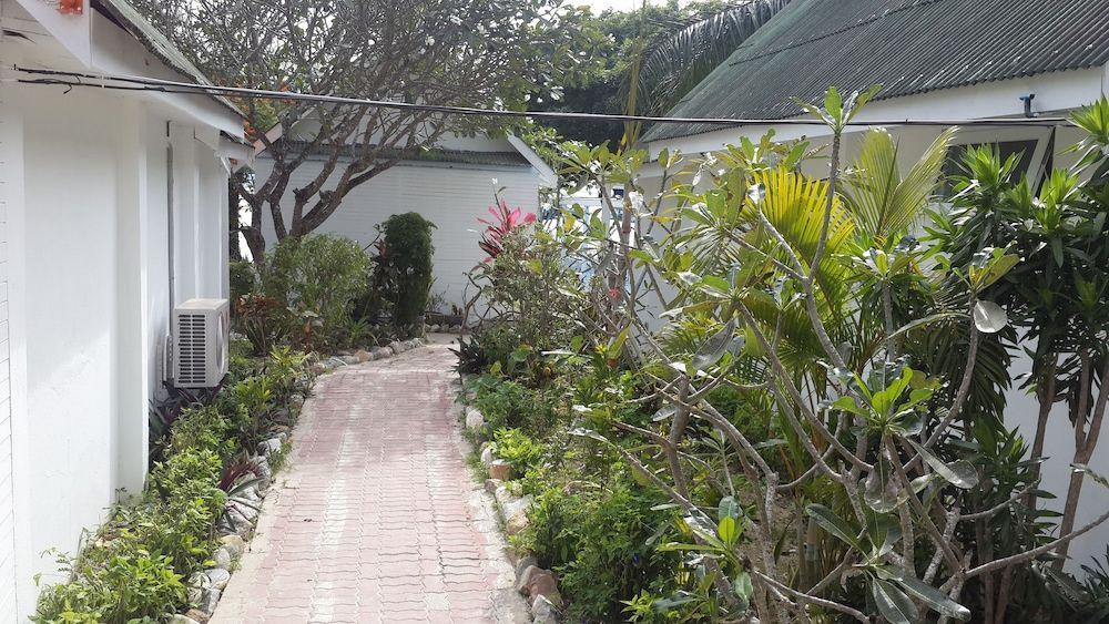 المظهر الخارجي