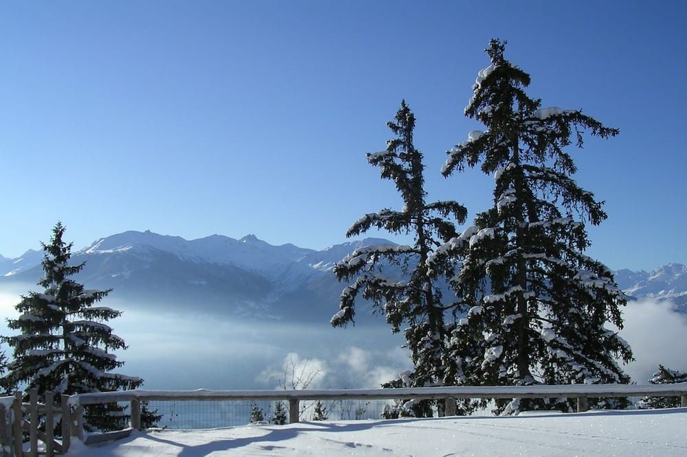 المظهر الخارجي