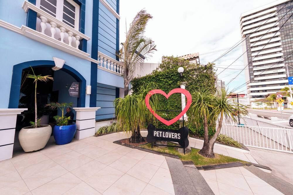 المظهر الخارجي