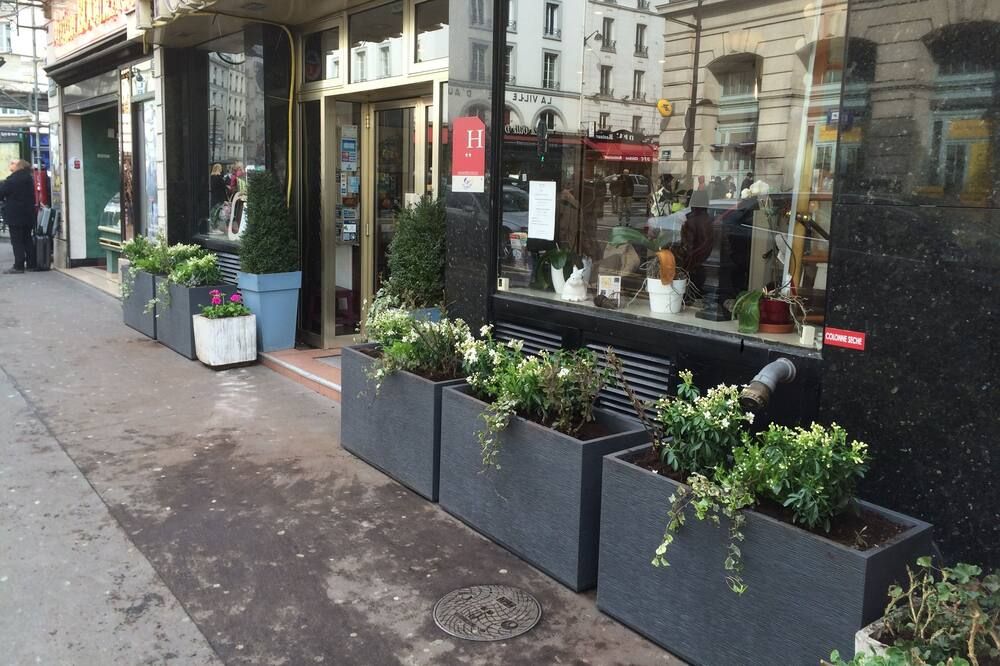 المظهر الخارجي