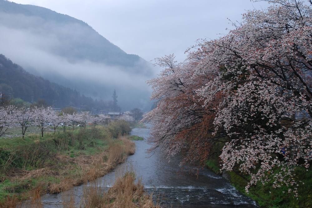 المظهر الخارجي