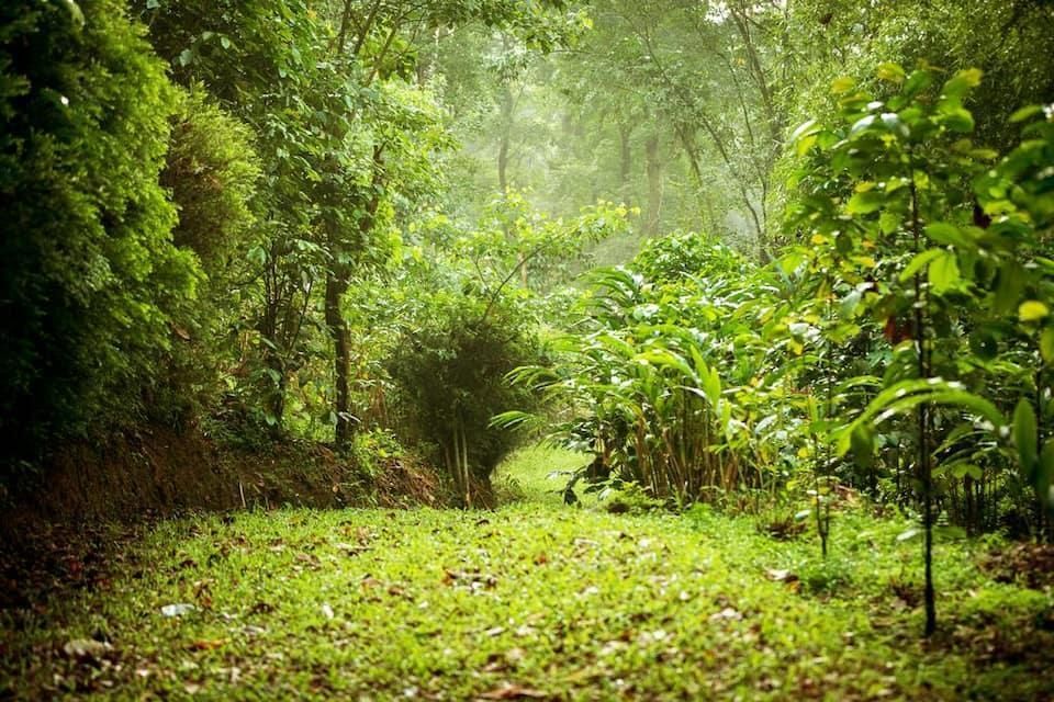 المظهر الخارجي