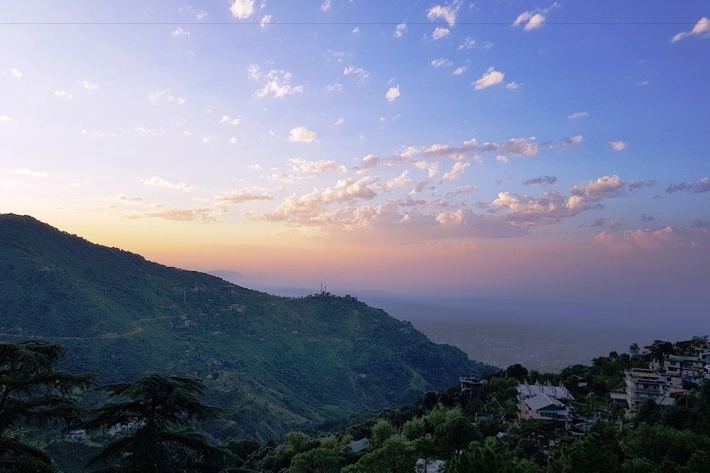 المظهر الخارجي