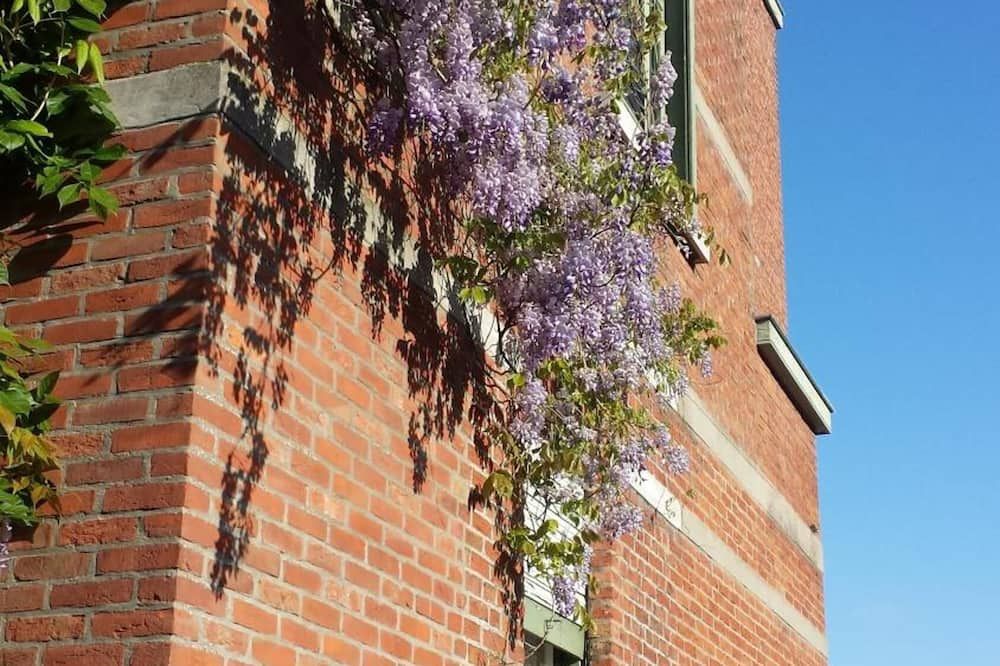 المظهر الخارجي