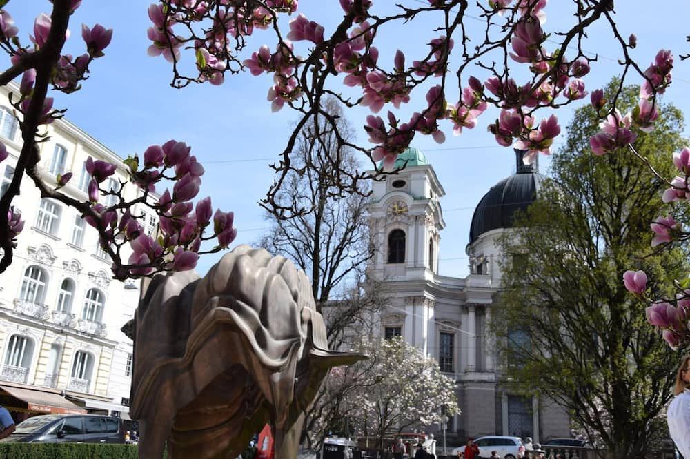 المظهر الخارجي