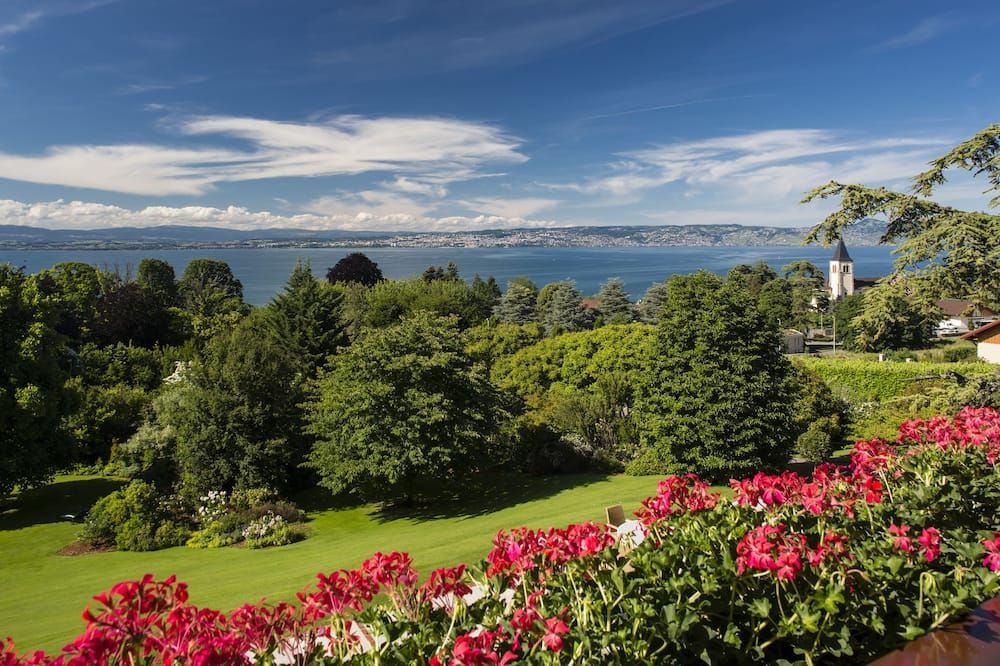 المظهر الخارجي