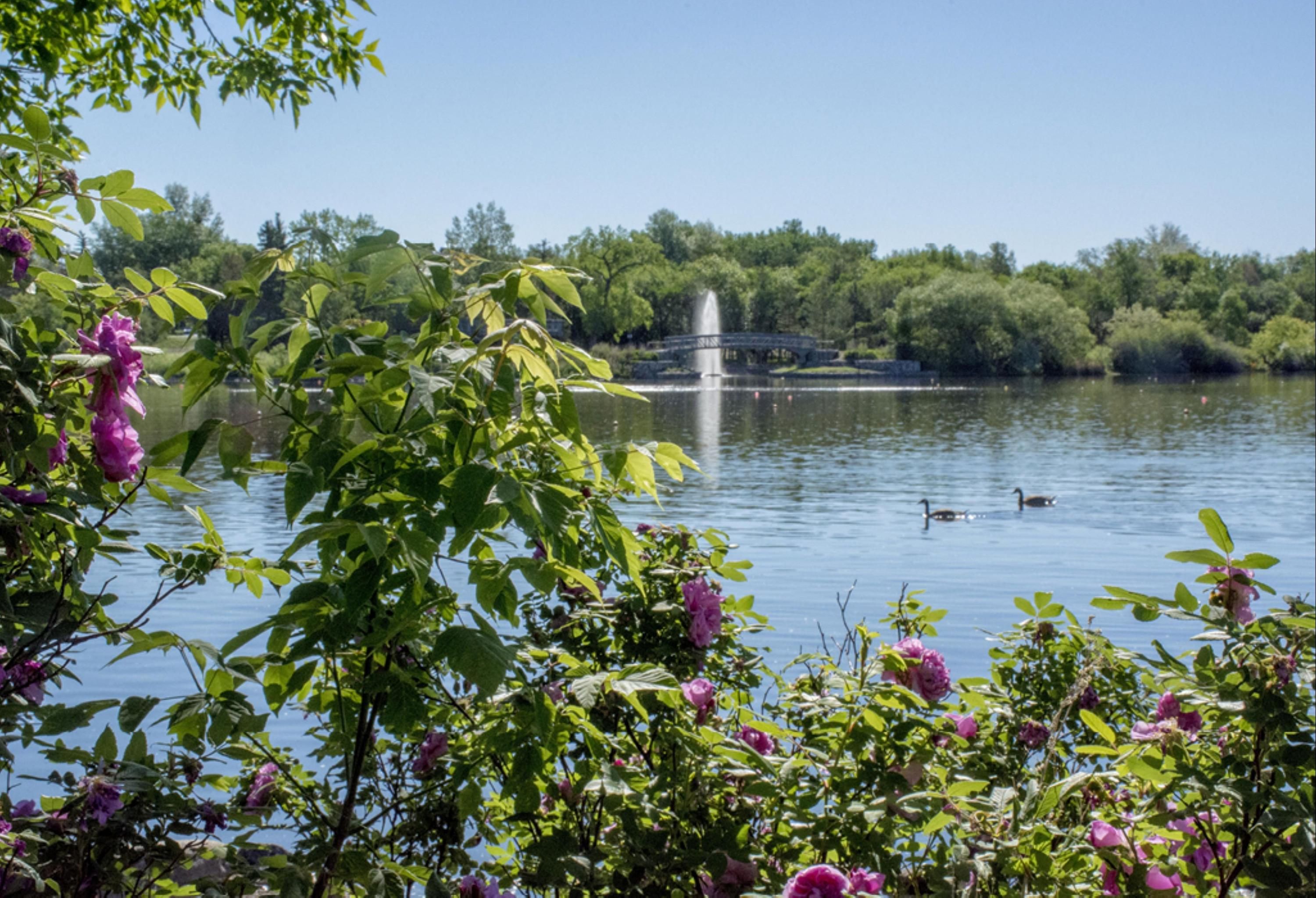 المظهر الخارجي