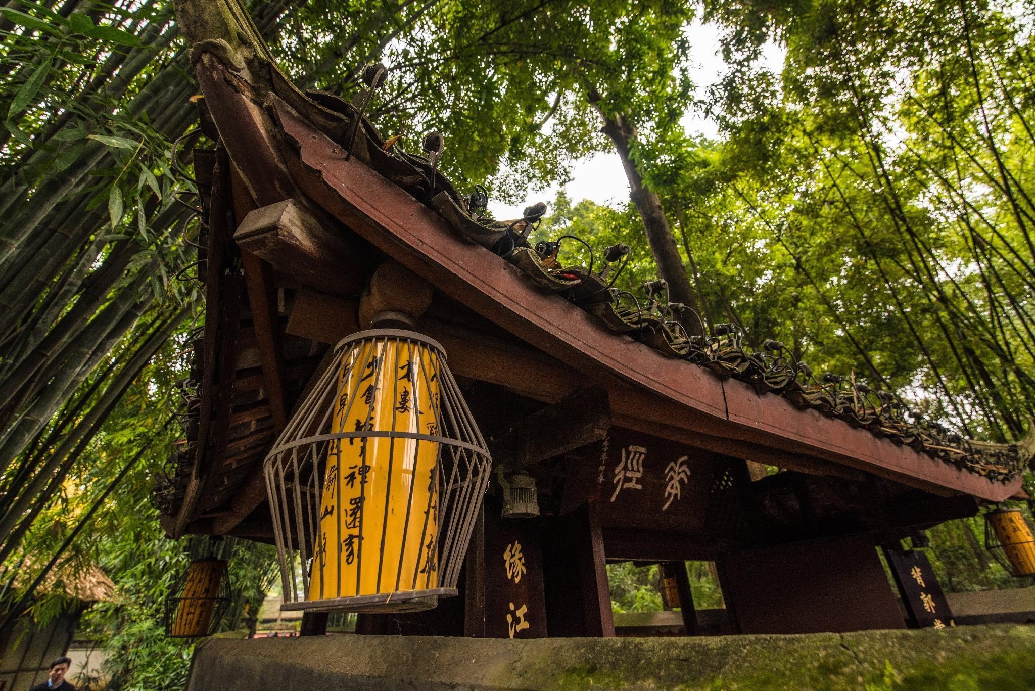 المظهر الخارجي