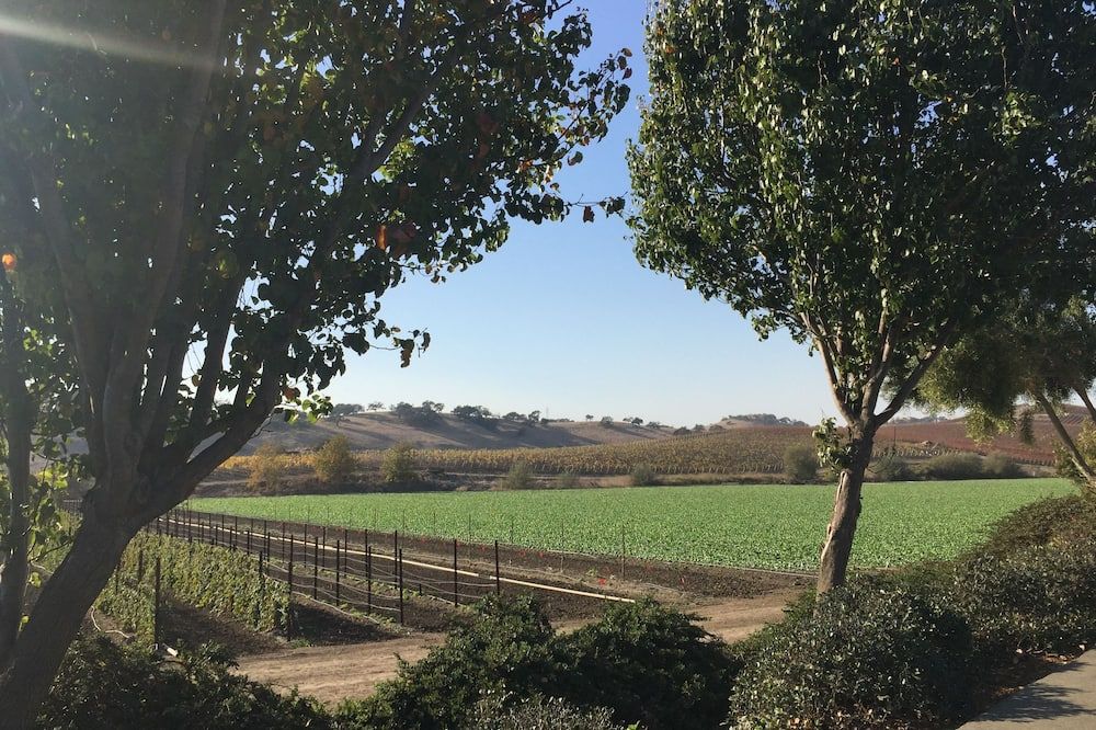 المظهر الخارجي