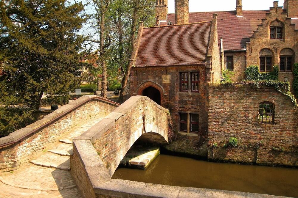 المظهر الخارجي