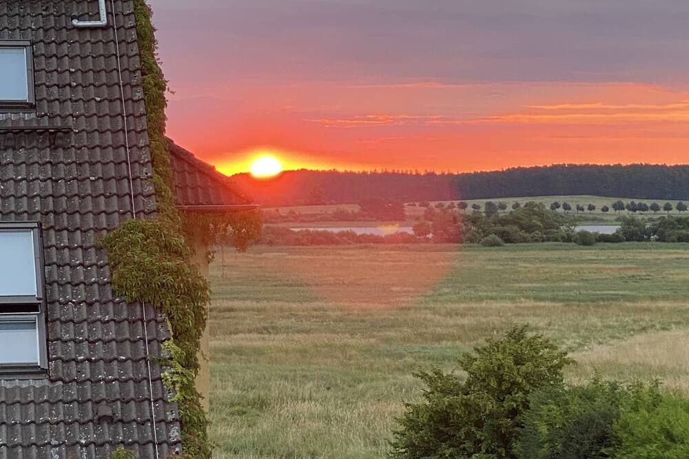 المظهر الخارجي