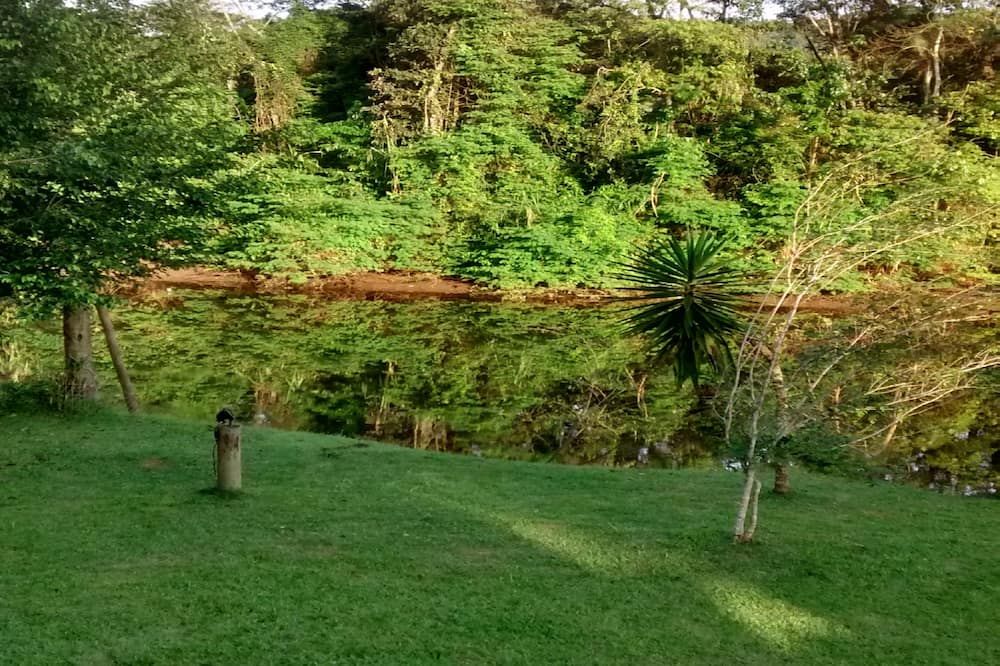 المظهر الخارجي