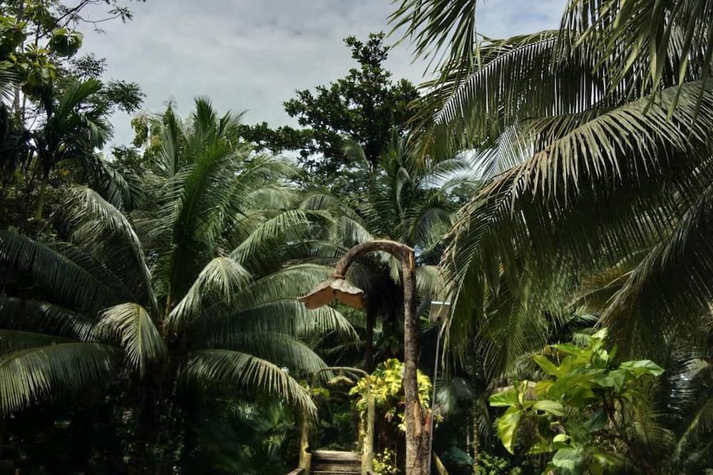 المظهر الخارجي