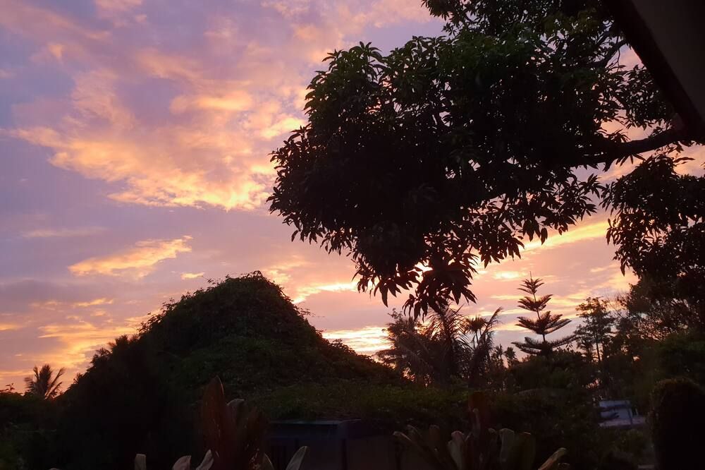 المظهر الخارجي