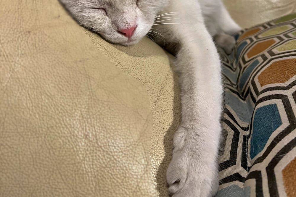 وسائل راحة في الغرف