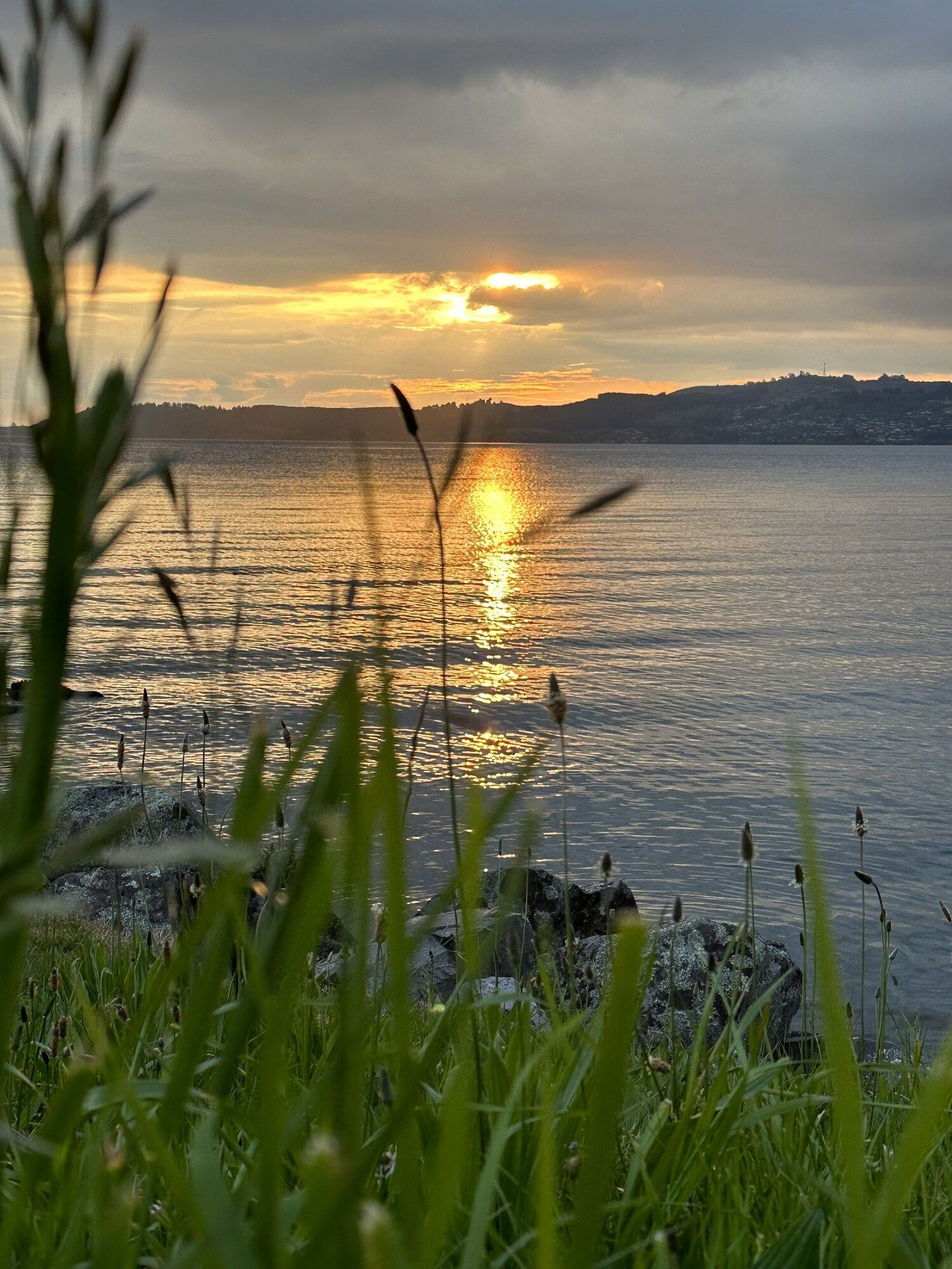 المظهر الخارجي