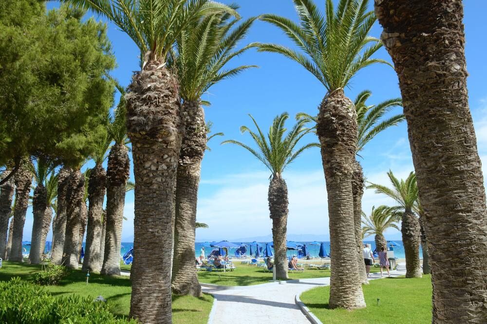 المظهر الخارجي