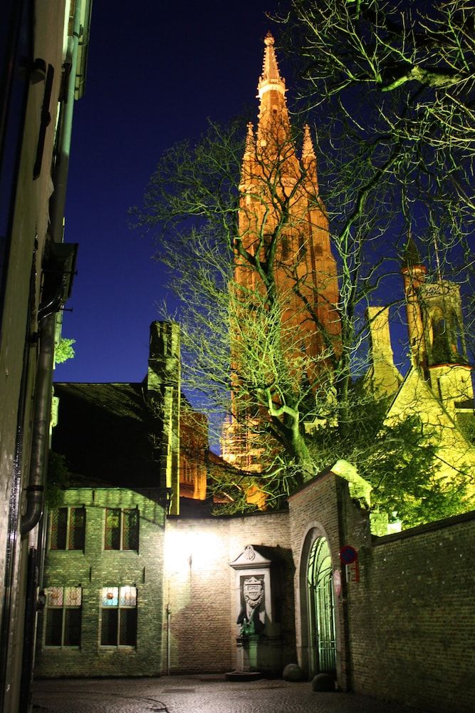 المظهر الخارجي