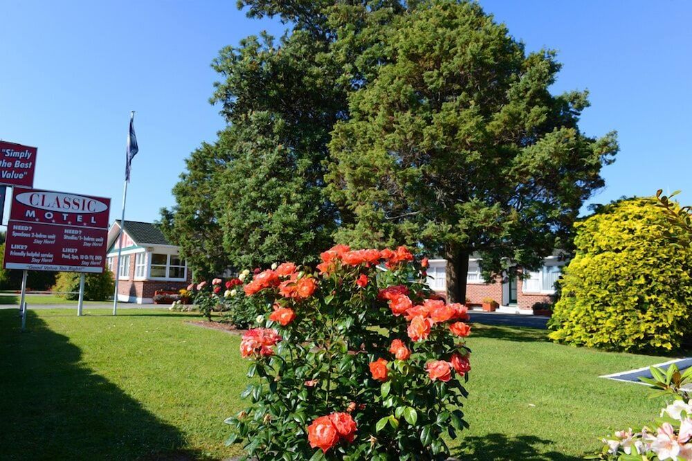 المظهر الخارجي