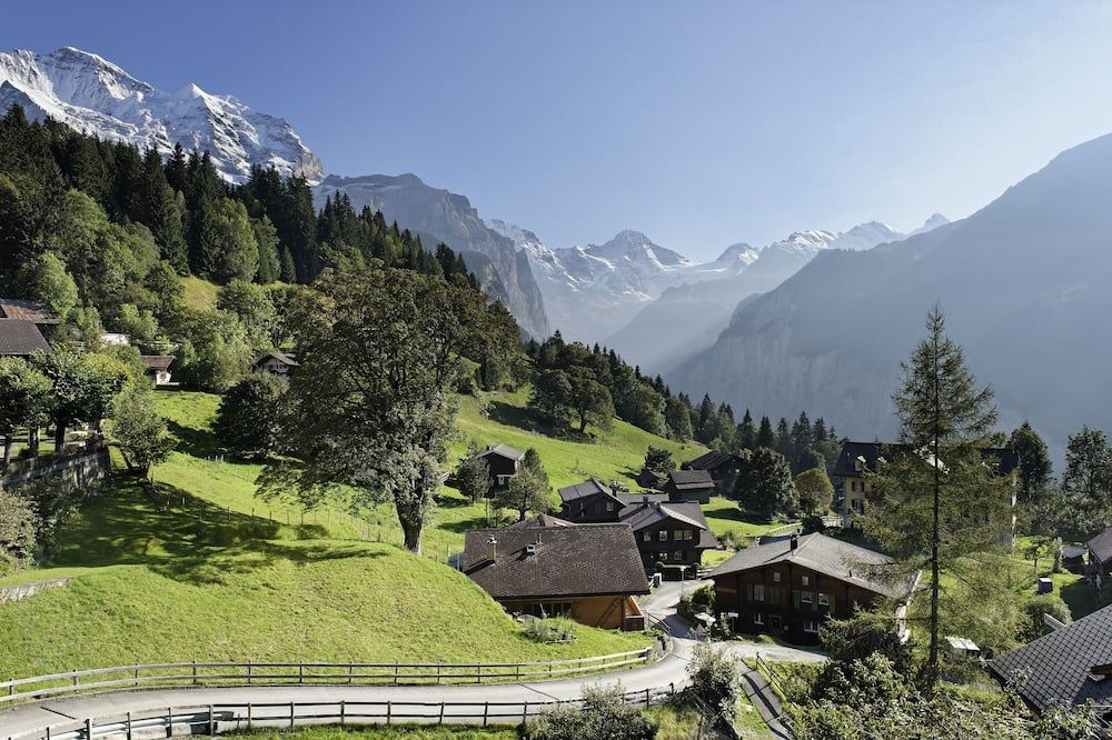 المظهر الخارجي