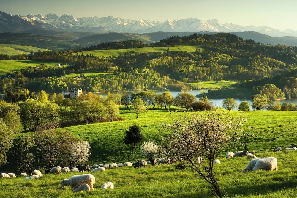 المظهر الخارجي