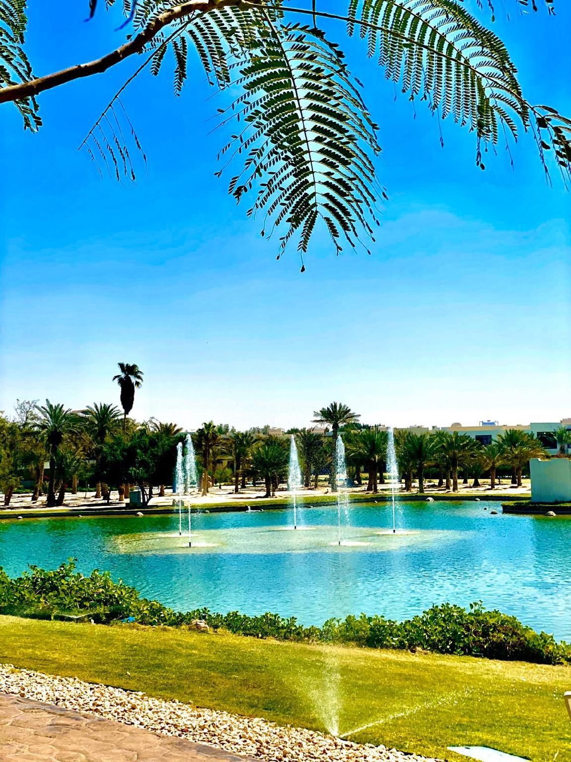 المظهر الخارجي