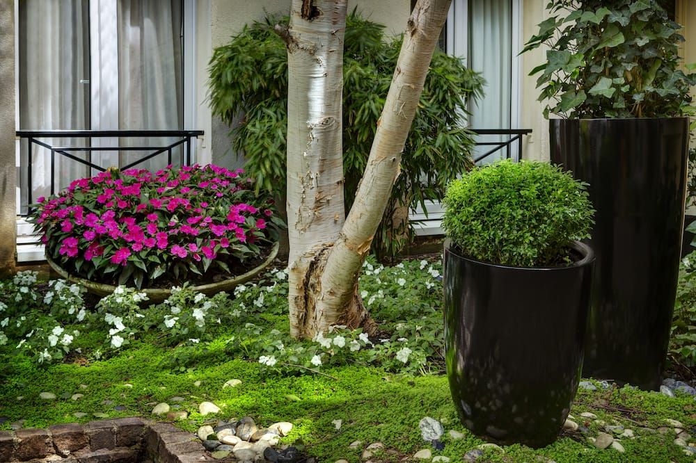 المظهر الخارجي