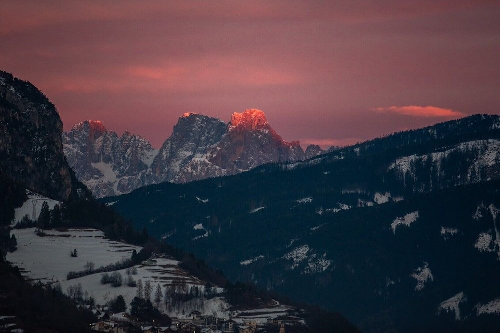 المظهر الخارجي