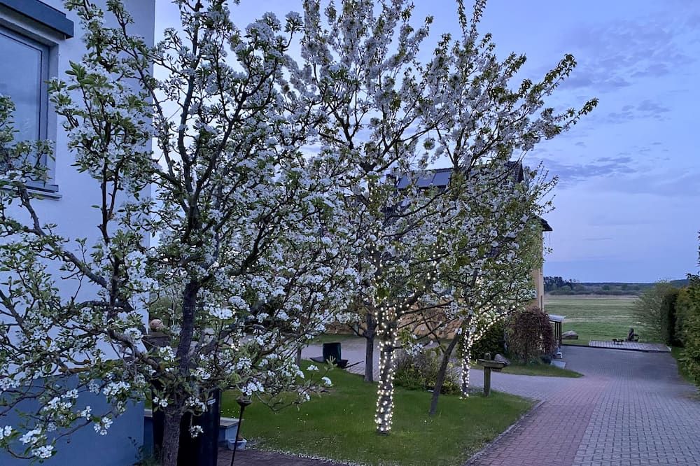 المظهر الخارجي