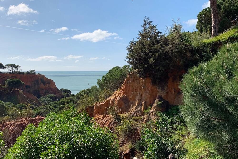 المظهر الخارجي