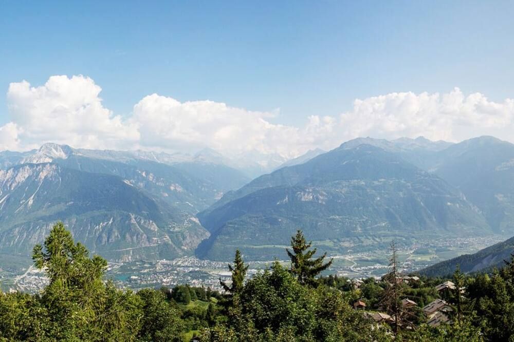 المظهر الخارجي