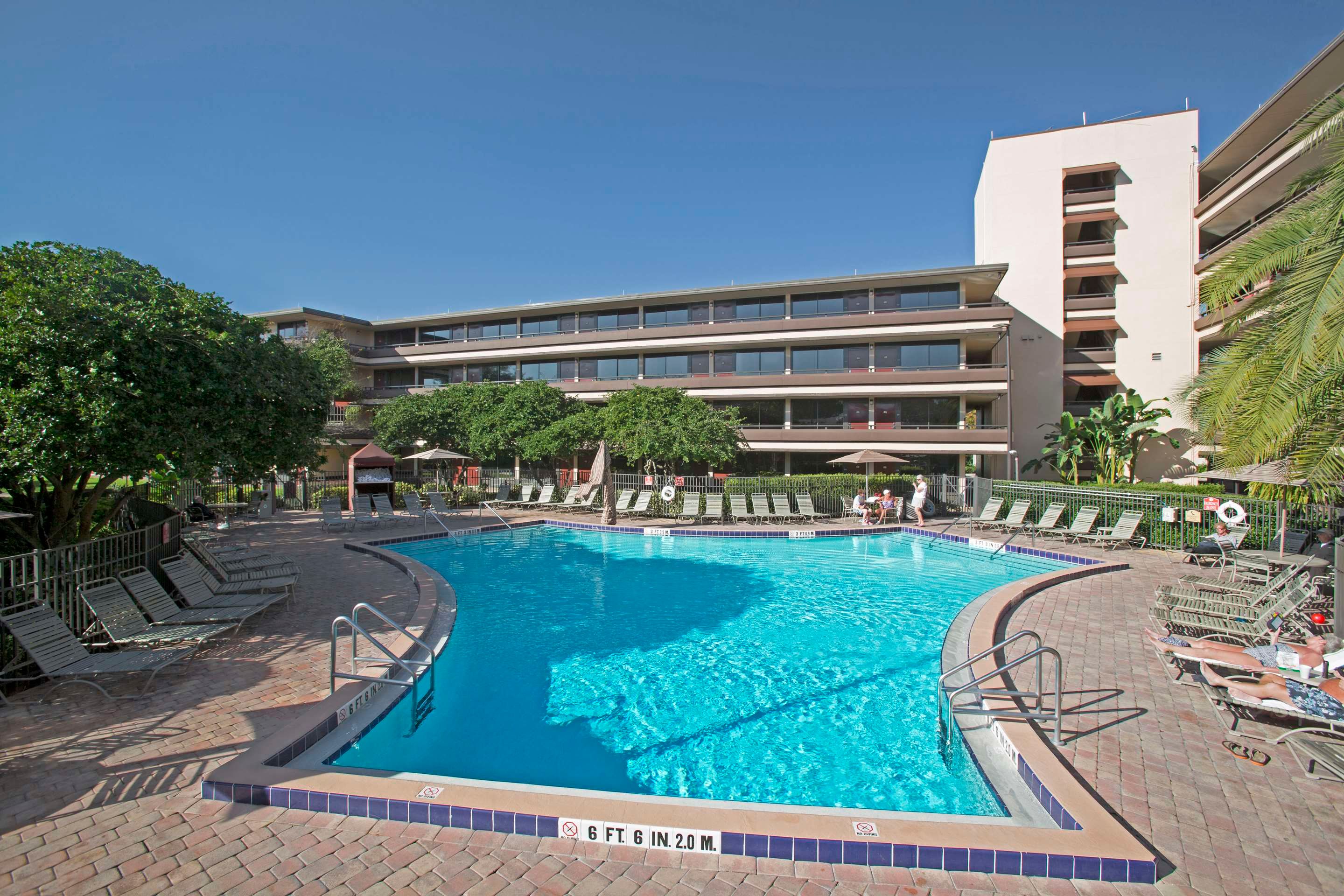 حوض السباحة