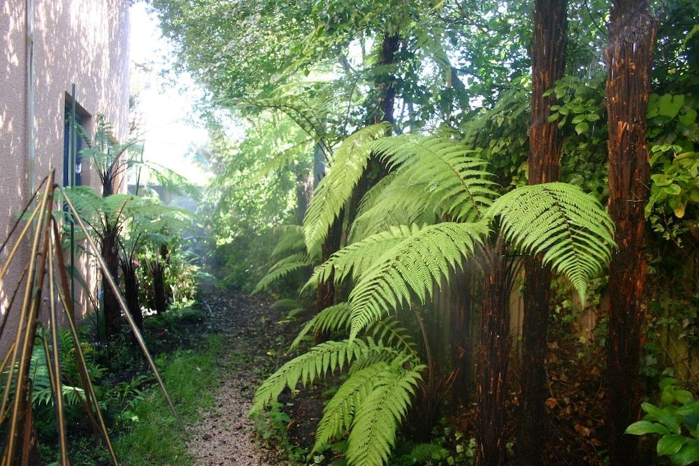 المظهر الخارجي