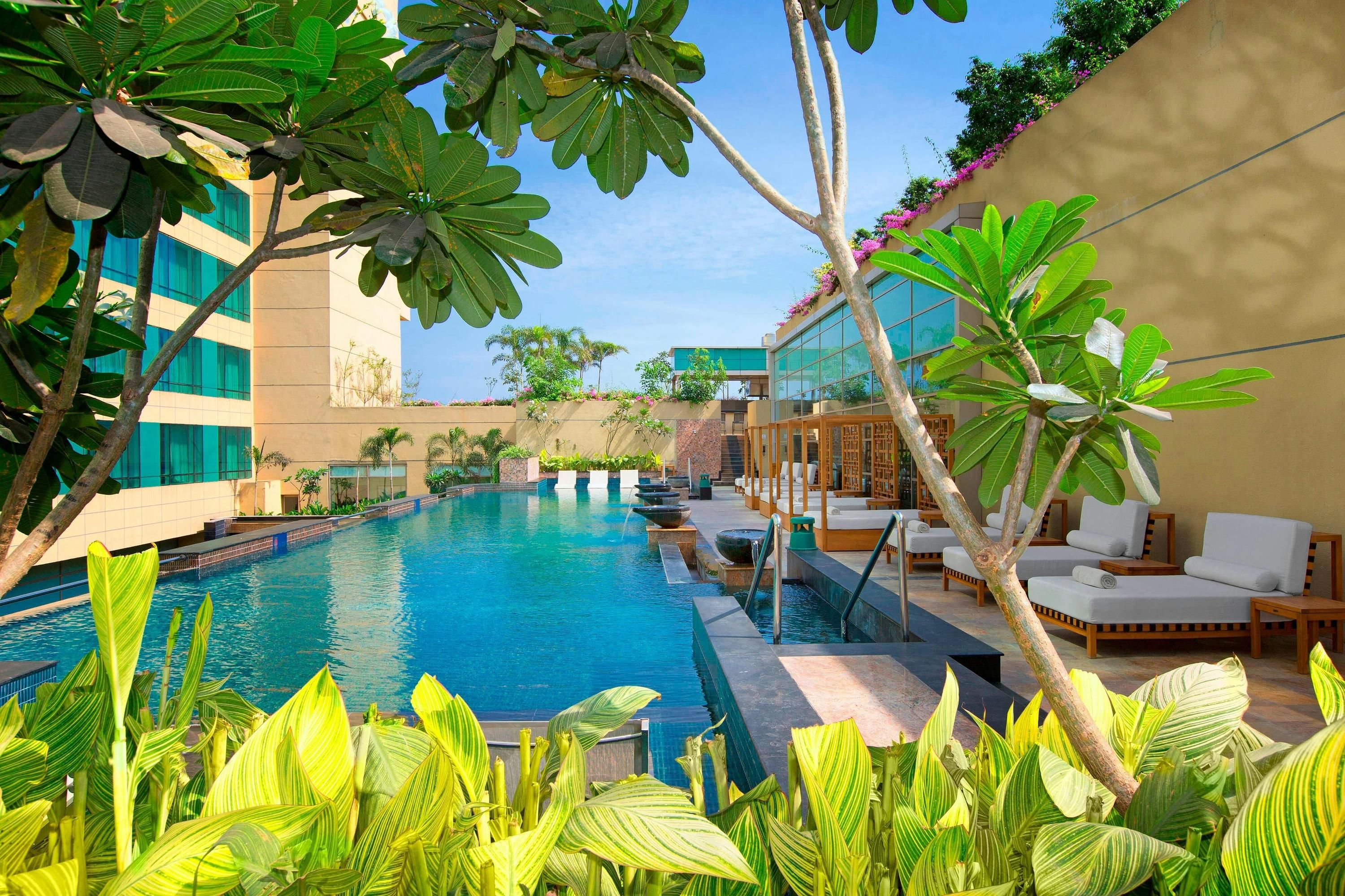 حوض السباحة