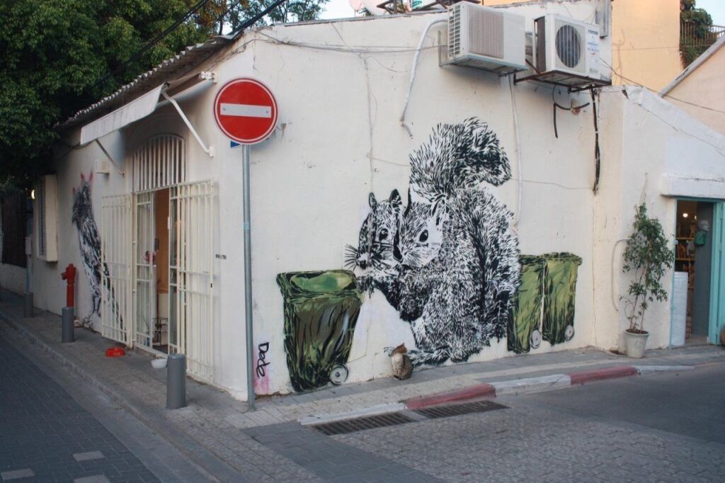 المظهر الخارجي