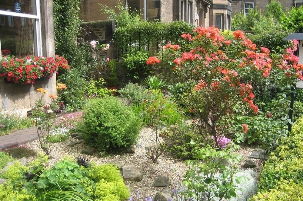 المظهر الخارجي